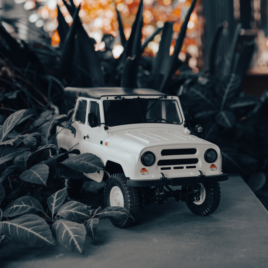 WPL JAPAN Suzuki Carry Light Truck RC RTR 