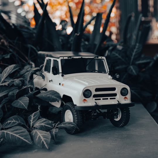 WPL JAPAN Suzuki Carry Light Truck RC RTR 