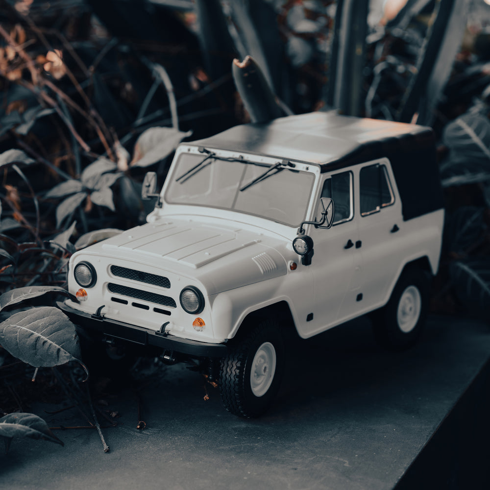 WPL JAPAN Suzuki Carry Light Truck RC RTR 