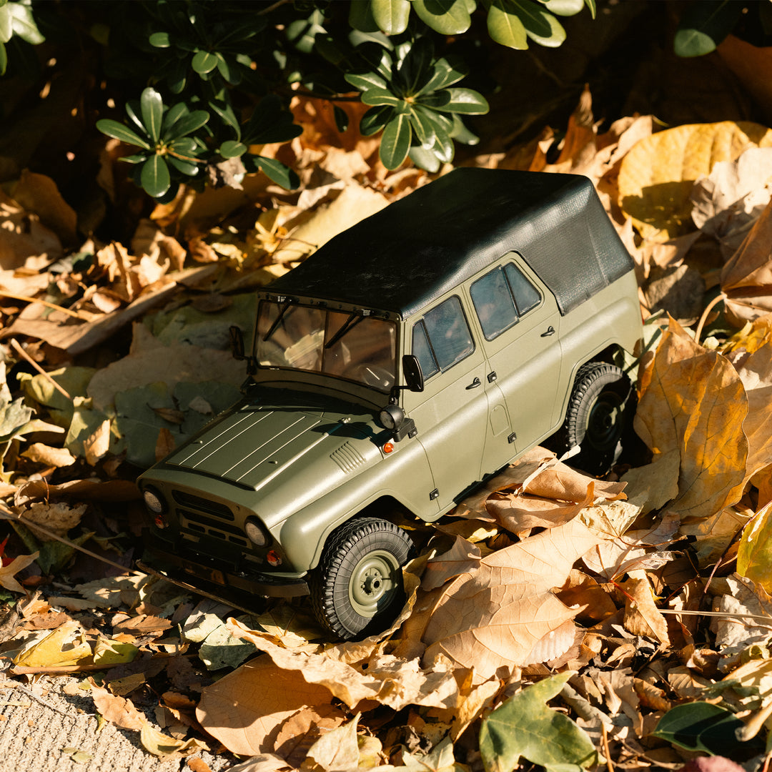 WPL JAPAN Suzuki Carry Light Truck RC RTR 