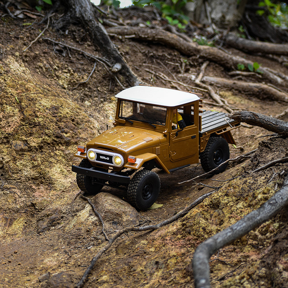 WPL JAPAN C44RTR